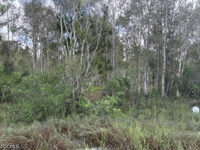721 Bluebird Ave., Lehigh Acres, FL 33974