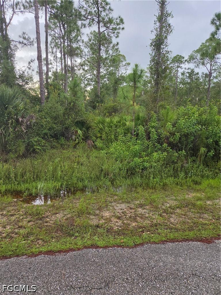 2303 Truman Ave., Alva, FL 33920