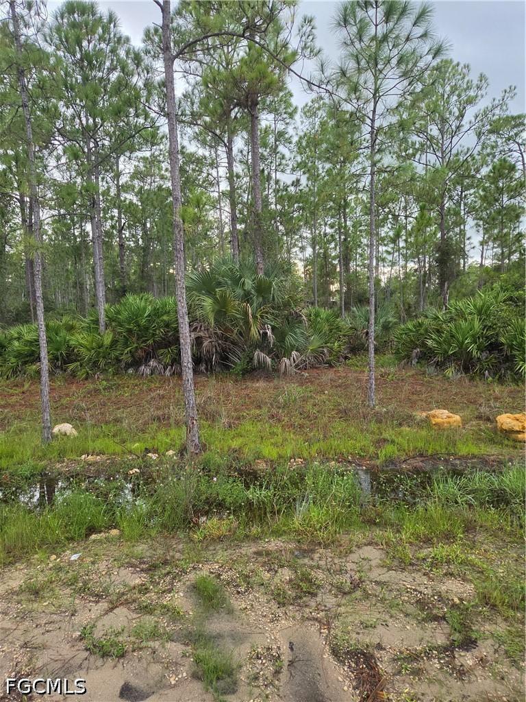 2311 Truman Ave., Alva, FL 33920