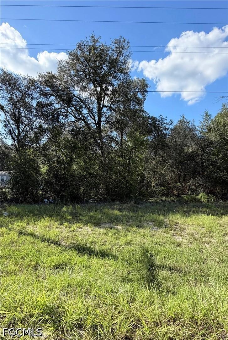 NE 106th Ter., Williston, FL 32621