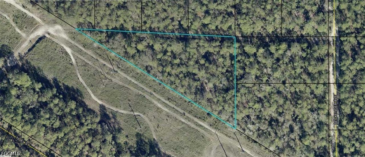Eddie St., Hastings, FL 32145