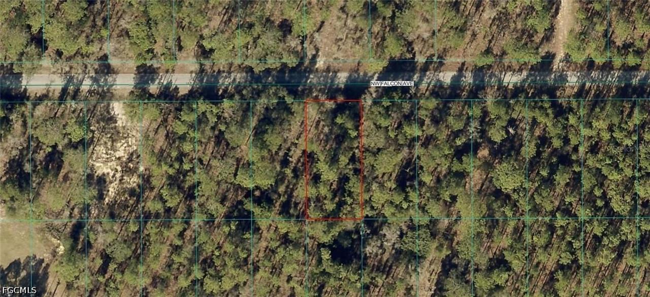 1814-022-016 NW Falcon Ave., Dunnellon, FL 34431
