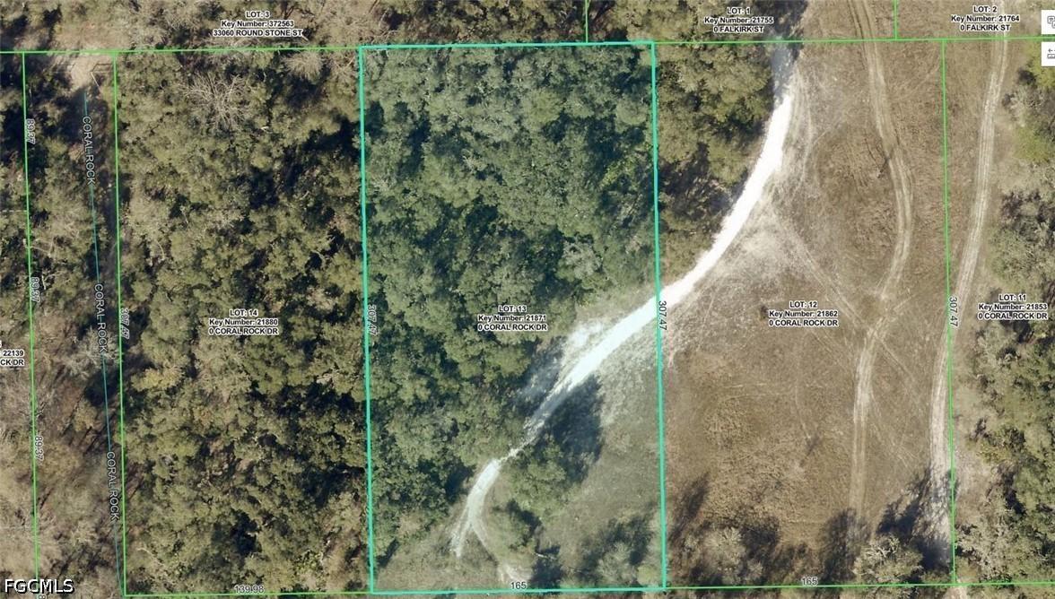 33099 Coral Rock Dr., Webster, FL 33597