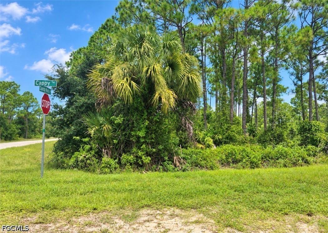 13365 Cappy Ter., Punta Gorda, FL 33955