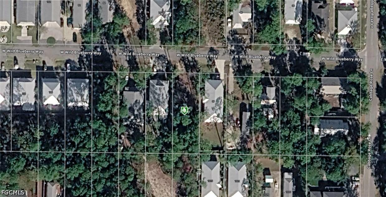 W Wild Blueberry Way, Santa Rosa Beach, FL 32459