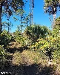 601 Union Ave., Clewiston, FL 33935