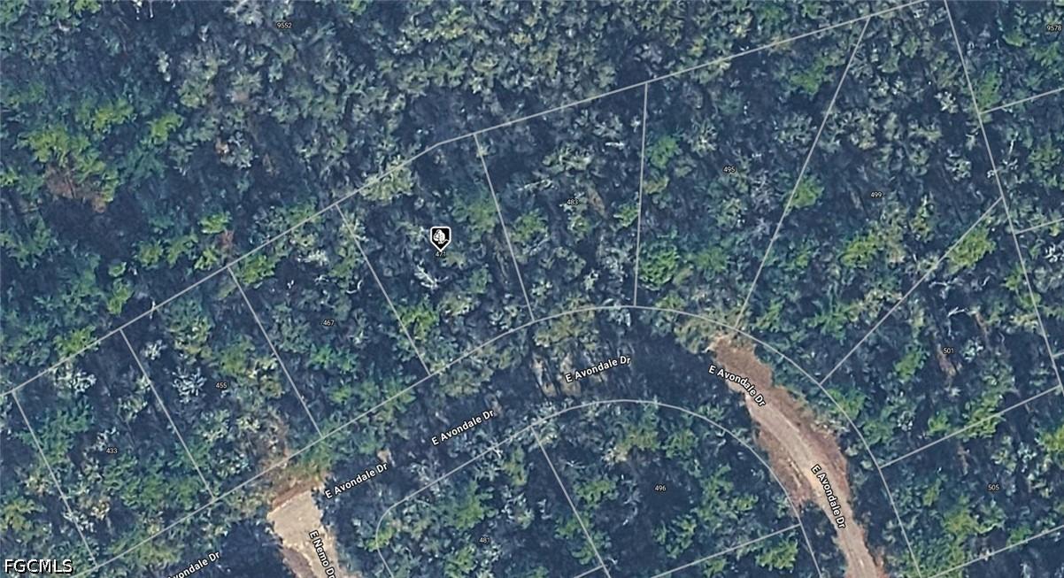 471 E Avondale Dr., Citrus Springs, FL 34434