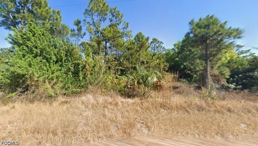 747 Milano Ave., Lehigh Acres, FL 33974
