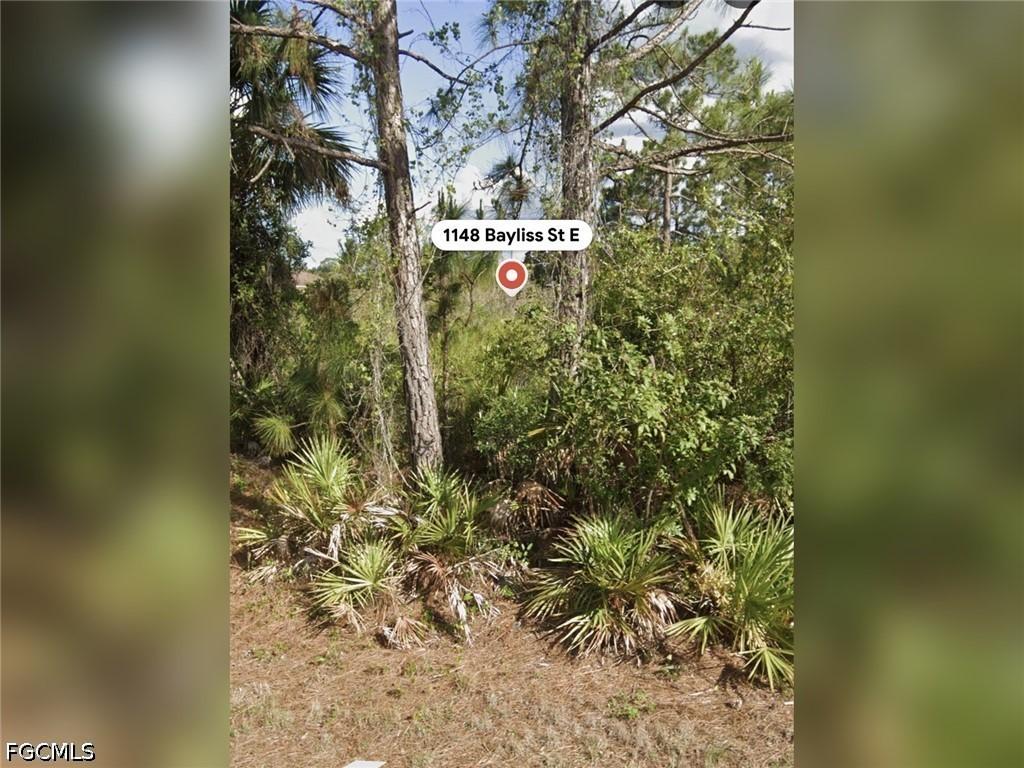 1148 Bayliss St., Lehigh Acres, FL 33974