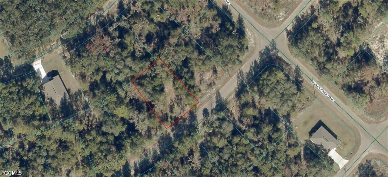 9038-1252-28 Guava Tr., Ocklawaha, FL 32179