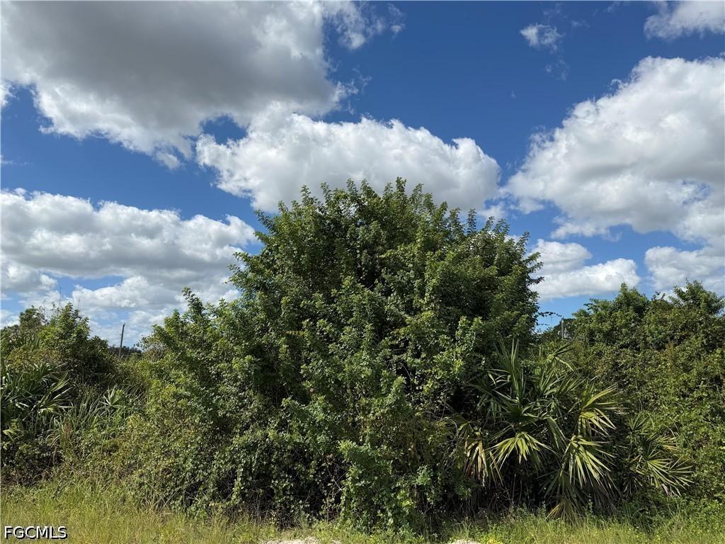 1209 Plumosa Ave., Lehigh Acres, FL 33972