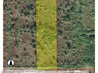 43rd Ave., Naples, FL 34120