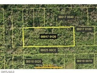 Rio Vista St., Estero, FL 33928