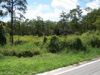 25187 Tuck Dr., Bonita Springs, FL