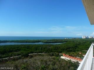 6585 Nicholas Blvd. #1601, Naples, FL