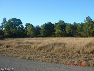 3210 3rd St Sw, Lehigh Acres, FL 33971