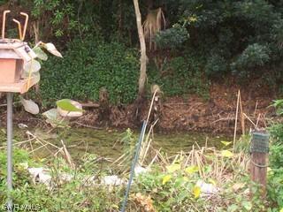 8468 Buena Vista Rd., Fort Myers, FL