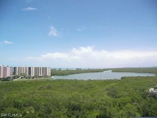 325 Dunes Blvd. #1006, Naples, FL 34110