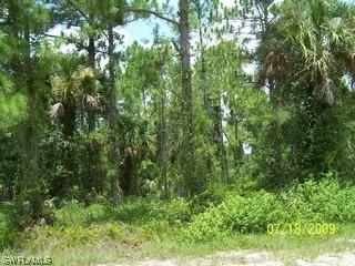 0000 Acreage Way, Naples, FL 34117