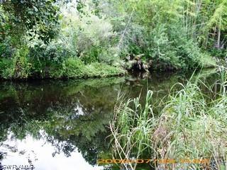 10810 Goodwin St., Bonita Springs, FL 34135