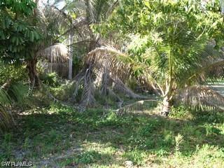 4050 Rita Ln., Bonita Springs, FL 34134