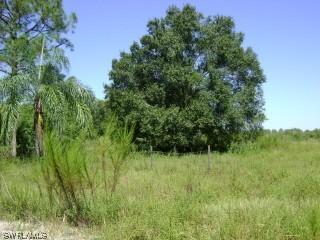 000100 3079 Woodstock Ave, Naples, FL 34120