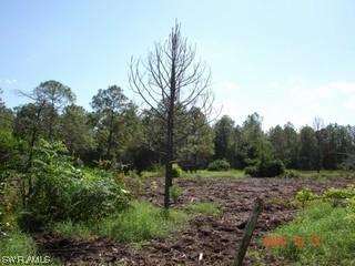 3355 Smith Rd., Naples, FL 34117