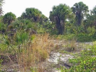 1265 Pheasant Roost Tr., Naples, FL 34117