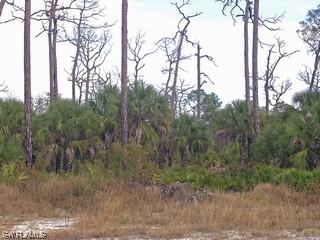 1 Dove Tree St., Naples, FL 34117