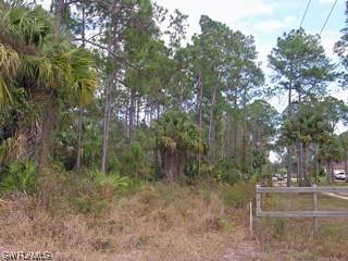 111098 Ivy Way & Dove Tree St., Naples, FL 34117