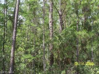4762 2 Ave., Naples, FL 34117