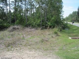 24001 Claire St., Bonita Springs, FL 34135