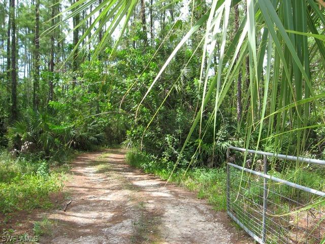 4631 1st Ave., Naples, FL 34119