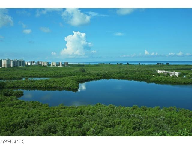 425 Cove Tower Dr. #1604, Naples, FL