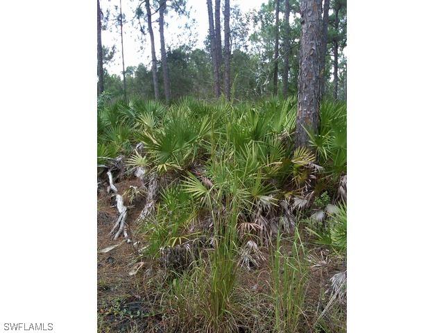 000100 Fawn Ln., Naples, FL 32256
