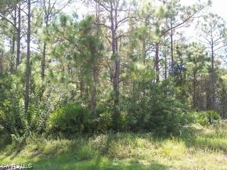 24000 Dietz Dr., Bonita Springs, FL 34135