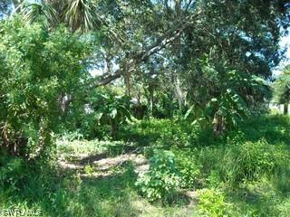 10251 Carolina St., Bonita Springs, FL 34135