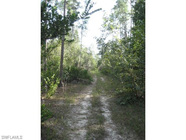 Lace Wing Ln., Naples, FL 34114