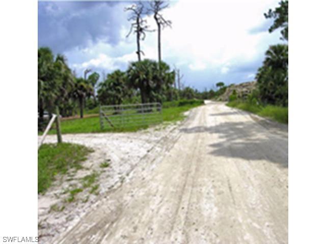 Dove Street Ext St., Naples, FL 34117