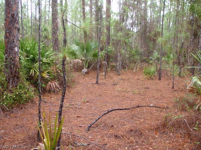 349900 8th Ave Ne, Naples, FL 34112
