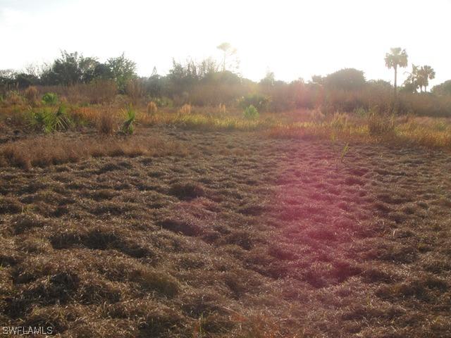 Krylov Ct., Estero, FL 33928