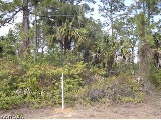 338800 Shady Hollow Blvd E Blvd., Naples, FL 34120