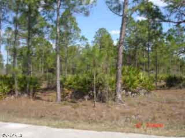 2318 Jackson Ave., Alva, FL