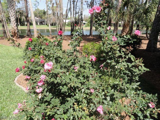 831 Swallow Point, Naples, FL 34105