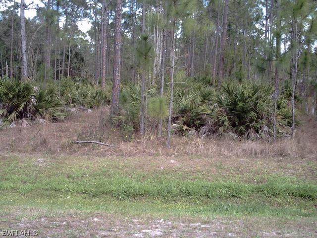 24543 Claire St., Bonita Springs, FL