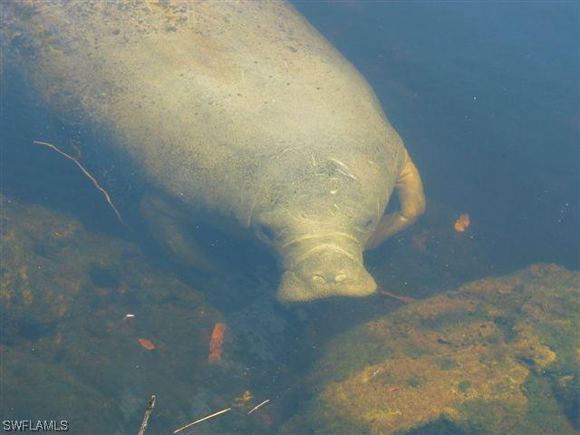 27227 Pullen Ave. #23, Bonita Springs, FL