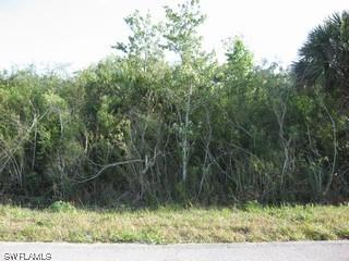 460 Shady Hollow Blvd., Naples, FL 34120