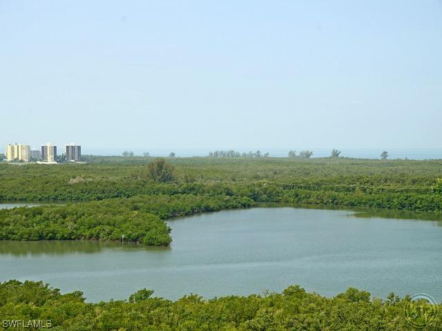 425 Cove Tower Dr. #1201, Naples, FL 34110