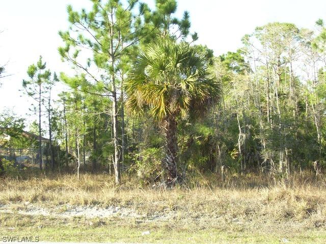 3045 Randall Blvd., Naples, FL 34120