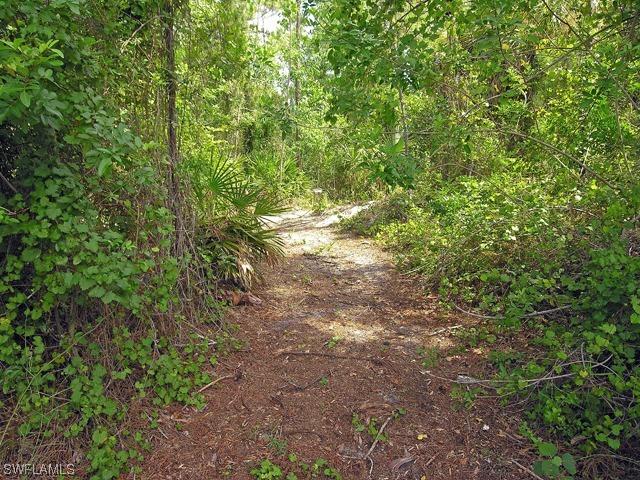 Copper Leaf Ln., Naples, FL 34116